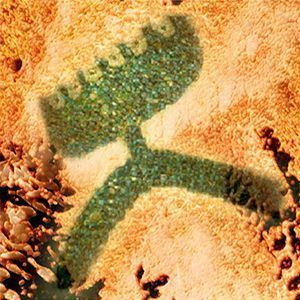 Land Art